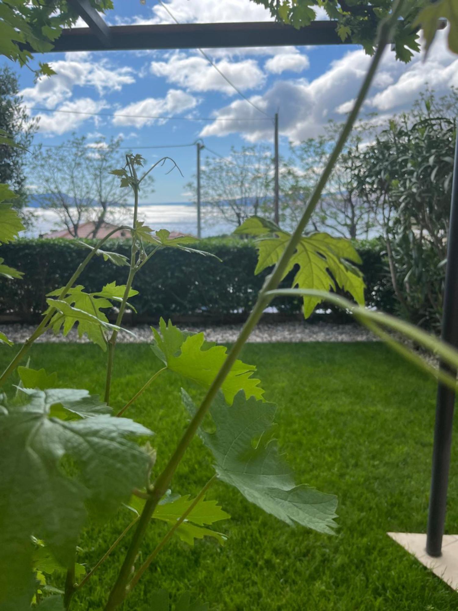 Apartman Mia Сен Екстериор снимка
